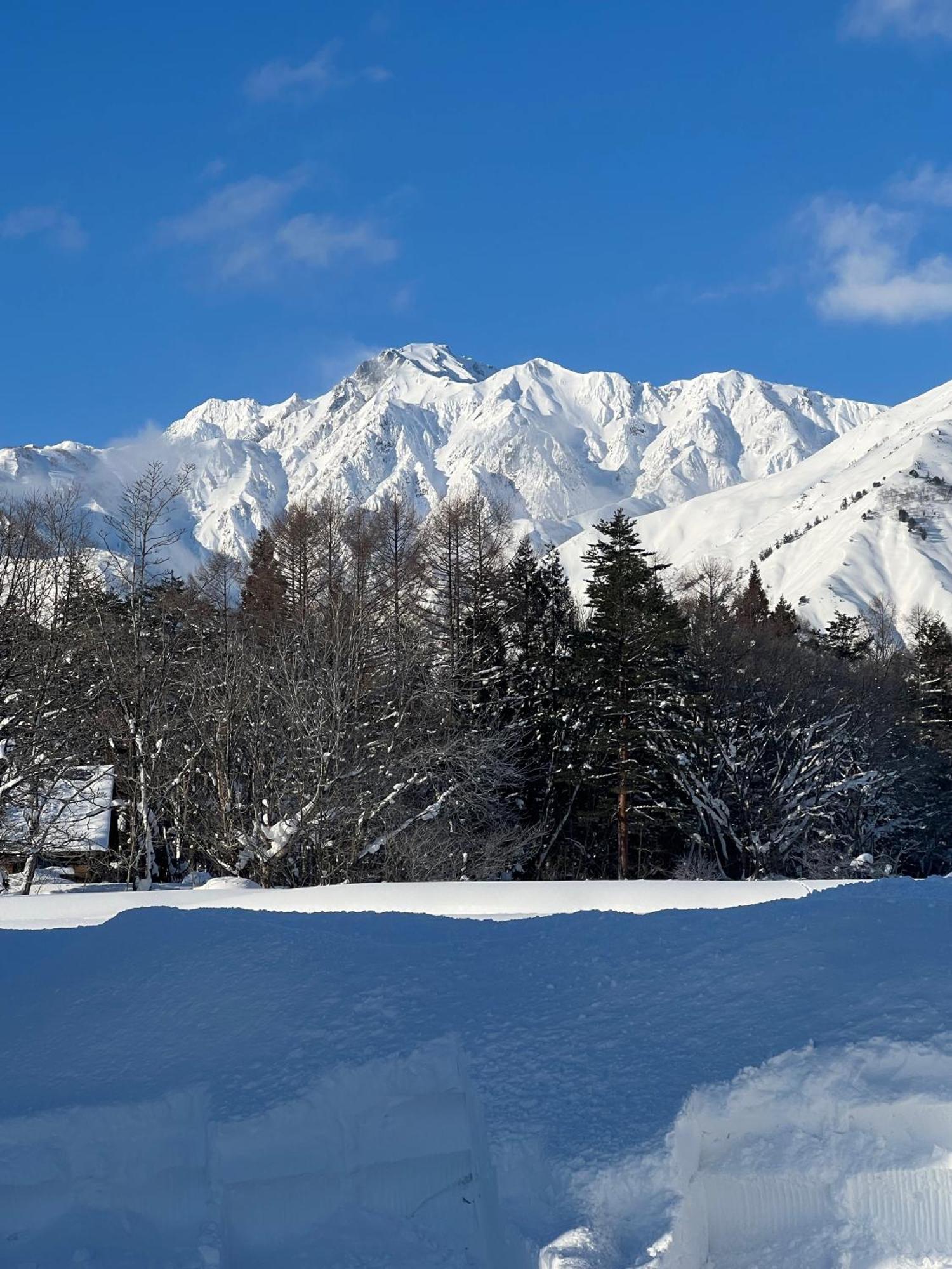 Heidihof Hotel Hakuba Exterior photo