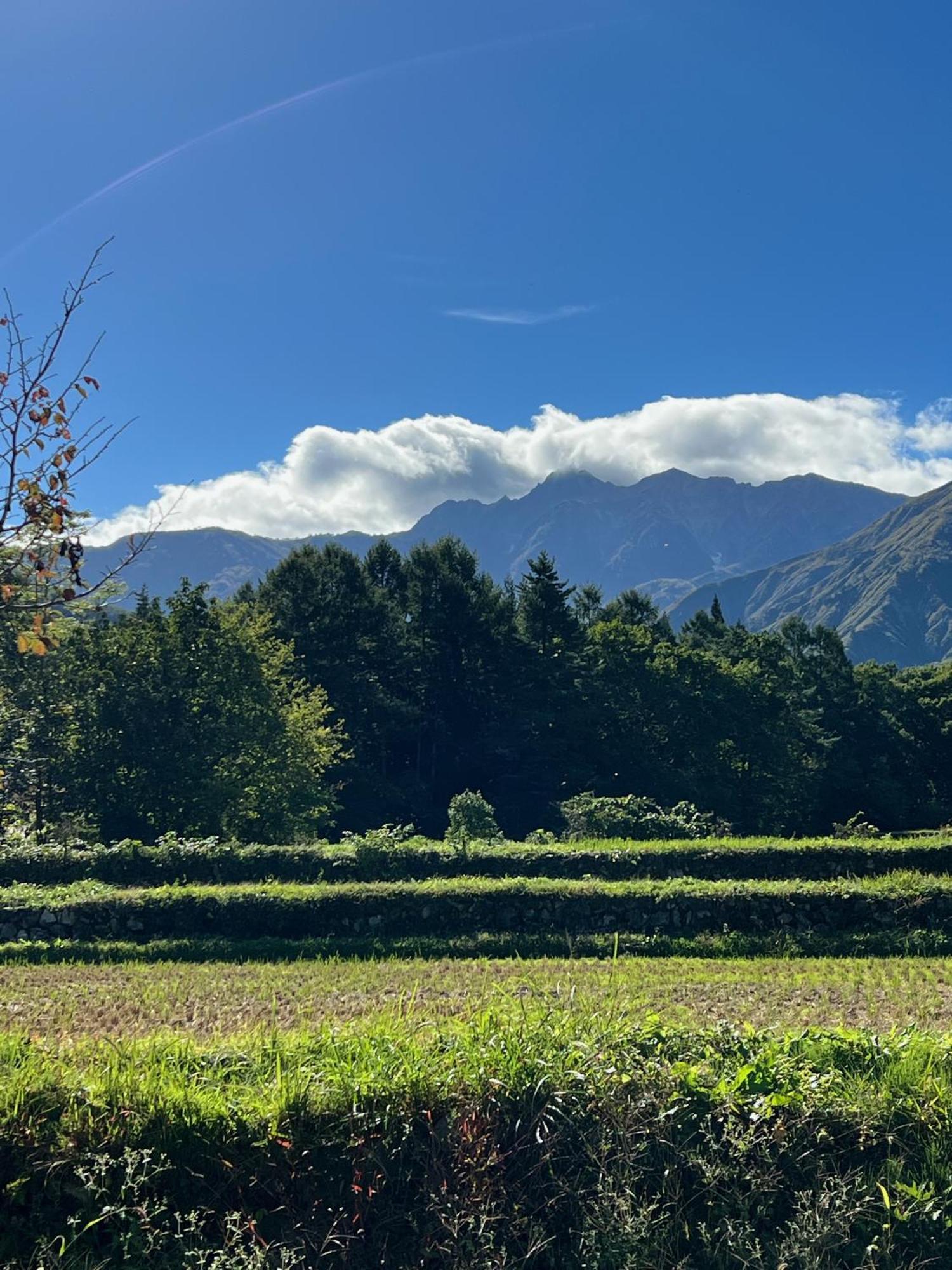 Heidihof Hotel Hakuba Exterior photo